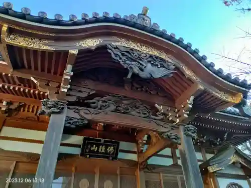 蓮乗寺の本殿・本堂