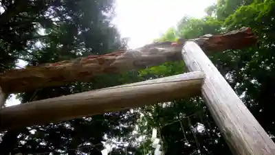 大鳥神社の鳥居