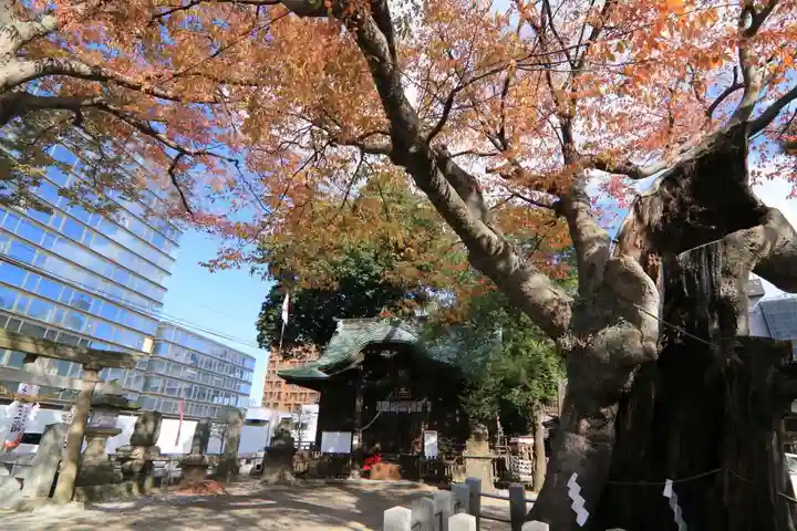 阿邪訶根神社の本殿・本堂