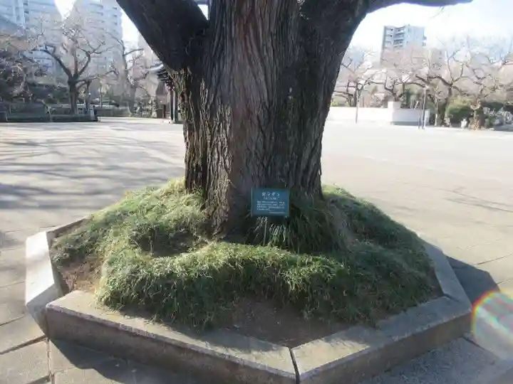 吉祥寺(東京都)