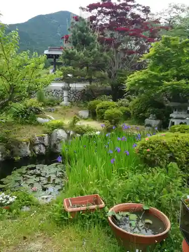 橋本院の庭園