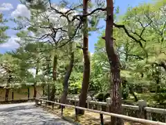 大覚寺(京都府)