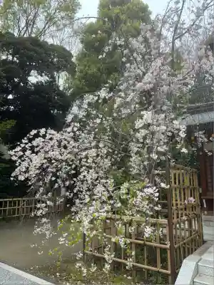 新田神社(東京都)