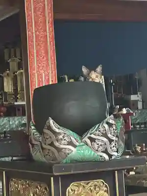 安養院(愛知県)