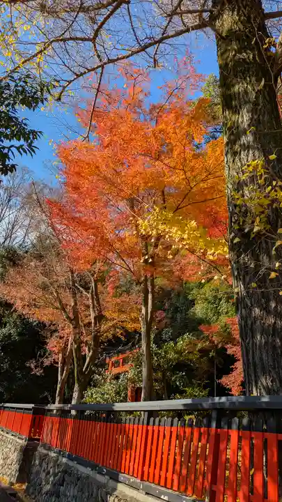 観音寺(山崎聖天)(京都府)