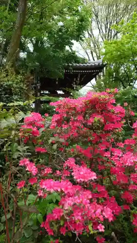 法明寺(東京都)