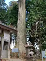 嶽山箒根神社奥の院の建物その他