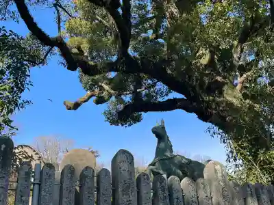 津田八幡神社の{uncategorized: "未分類", other: "その他", undefined: "問題あり", building: "その他建物", grave: "お墓", sacred_gate: "鳥居", guardian: "狛犬", statue: "像", buddha: "仏像", history: "歴史", nature: "自然", garden: "庭園", animal: "動物", pagoda: "塔", temizu: "手水舎", mountain_gate: "山門・神門", sanctuary: "本殿・本堂", subordinate: "末社・摂社", art: "芸術", scenery: "景色", jizo: "地蔵", ema: "絵馬", goshuin: "御朱印", omikuji: "おみくじ", items: "授与品その他", amulet: "お守り", goshuincho: "御朱印帳", eats: "食事", festival: "お祭り", votive_dance: "神楽", shichigosan: "七五三参", wedding: "結婚式", experience: "体験その他", initially: "初詣", around: "周辺", anti_infection: "感染症対策"}