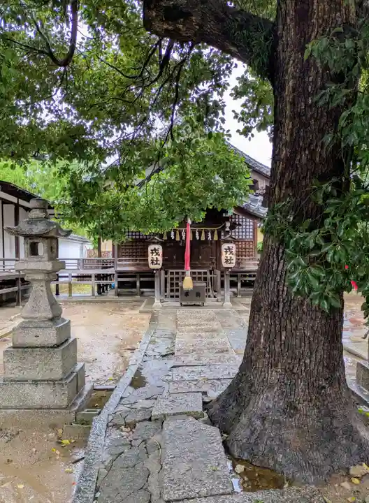 大津神社(大阪府)
