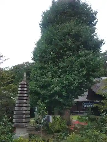 横浜　西方寺の塔