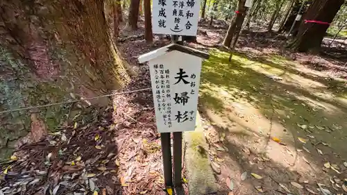 若狭彦神社（上社）(福井県)
