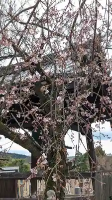 満願寺(京都府)