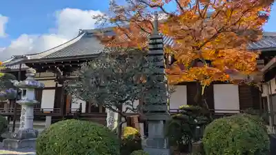 清浄華院(京都府)