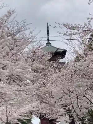 池上本門寺(東京都)