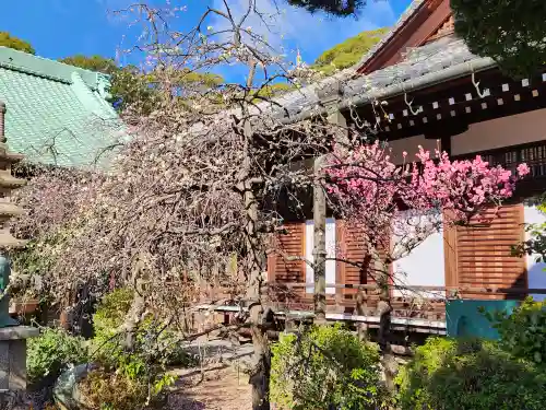 福祥寺（須磨寺）の自然
