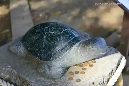 酒列磯前神社の狛犬