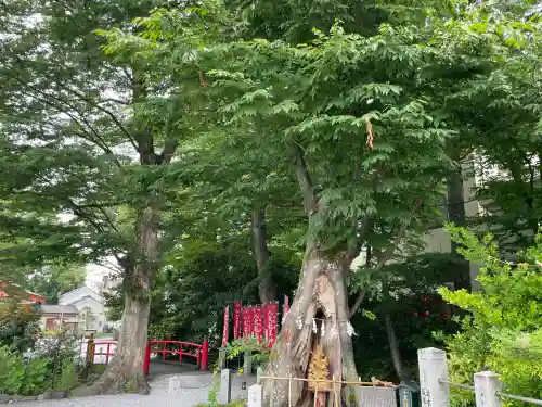 秩父今宮神社(埼玉県)