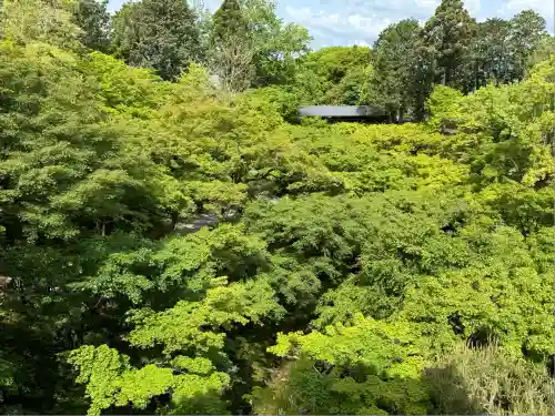 東福禅寺（東福寺）(京都府)