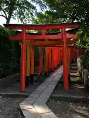 根津神社の鳥居