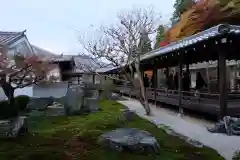 南禅寺(京都府)