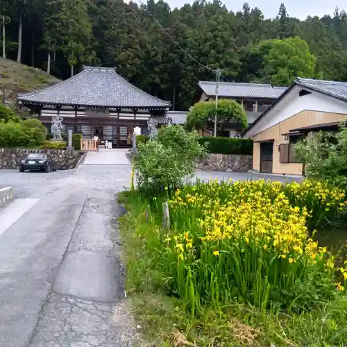 金昌寺の{uncategorized: "未分類", other: "その他", undefined: "問題あり", building: "その他建物", grave: "お墓", sacred_gate: "鳥居", guardian: "狛犬", statue: "像", buddha: "仏像", history: "歴史", nature: "自然", garden: "庭園", animal: "動物", pagoda: "塔", temizu: "手水舎", mountain_gate: "山門・神門", sanctuary: "本殿・本堂", subordinate: "末社・摂社", art: "芸術", scenery: "景色", jizo: "地蔵", ema: "絵馬", goshuin: "御朱印", omikuji: "おみくじ", items: "授与品その他", amulet: "お守り", goshuincho: "御朱印帳", eats: "食事", festival: "お祭り", votive_dance: "神楽", shichigosan: "七五三参", wedding: "結婚式", experience: "体験その他", initially: "初詣", around: "周辺", anti_infection: "感染症対策"}