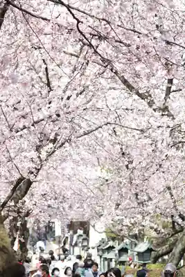 密藏院(埼玉県)