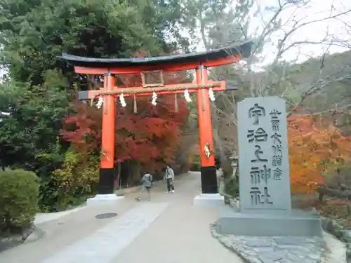 宇治上神社の鳥居