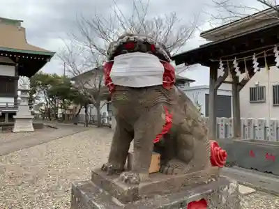 青木八坂神社の狛犬