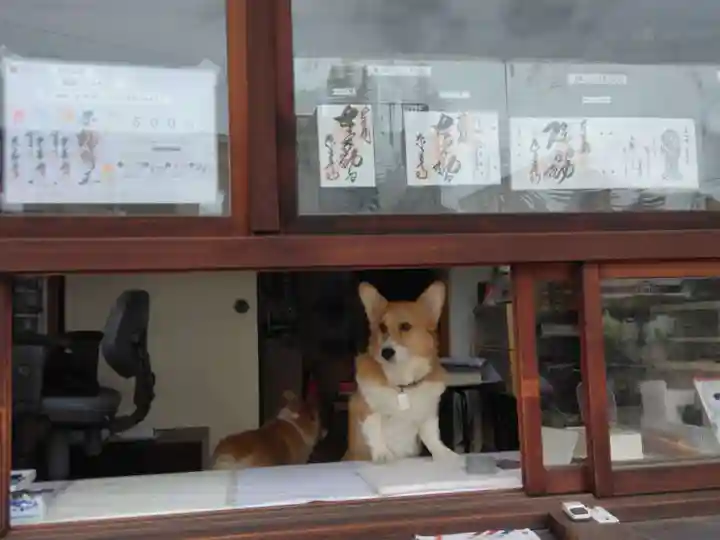 京善寺(大阪府)