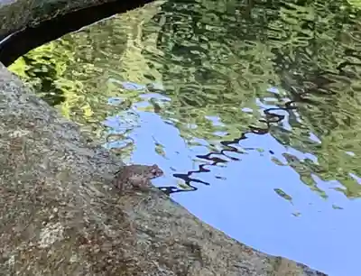 鵜甘神社(福井県)