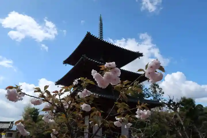 法輪寺(奈良県)