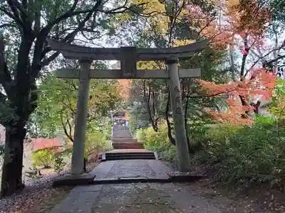 若宮八幡神社の鳥居