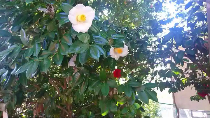 王子神社の自然