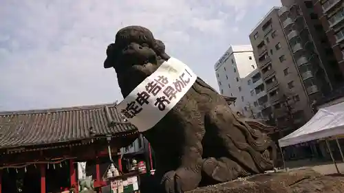 浅草神社の狛犬