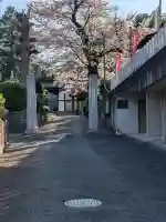 増福寺の{uncategorized: "未分類", other: "その他", undefined: "問題あり", building: "その他建物", grave: "お墓", sacred_gate: "鳥居", guardian: "狛犬", statue: "像", buddha: "仏像", history: "歴史", nature: "自然", garden: "庭園", animal: "動物", pagoda: "塔", temizu: "手水舎", mountain_gate: "山門・神門", sanctuary: "本殿・本堂", subordinate: "末社・摂社", art: "芸術", scenery: "景色", jizo: "地蔵", ema: "絵馬", goshuin: "御朱印", omikuji: "おみくじ", items: "授与品その他", amulet: "お守り", goshuincho: "御朱印帳", eats: "食事", festival: "お祭り", votive_dance: "神楽", shichigosan: "七五三参", wedding: "結婚式", experience: "体験その他", initially: "初詣", around: "周辺", anti_infection: "感染症対策"}