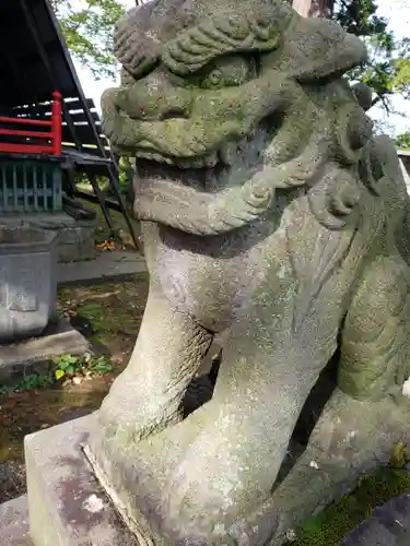 白山神社の狛犬