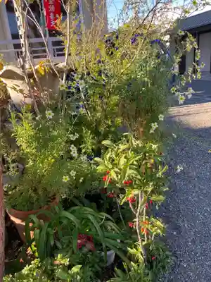 廣徳寺(神奈川県)