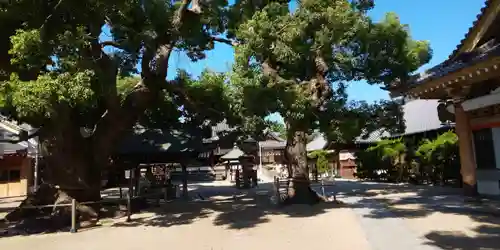 大聖観音寺（あびこ観音）のその他建物