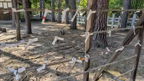 上川神社のおみくじ