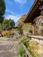 鳩森八幡神社(東京都)