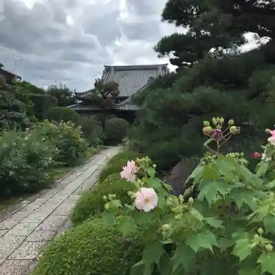 地蔵院（椿寺）のその他建物