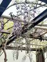 西方山極楽寺(岐阜県)