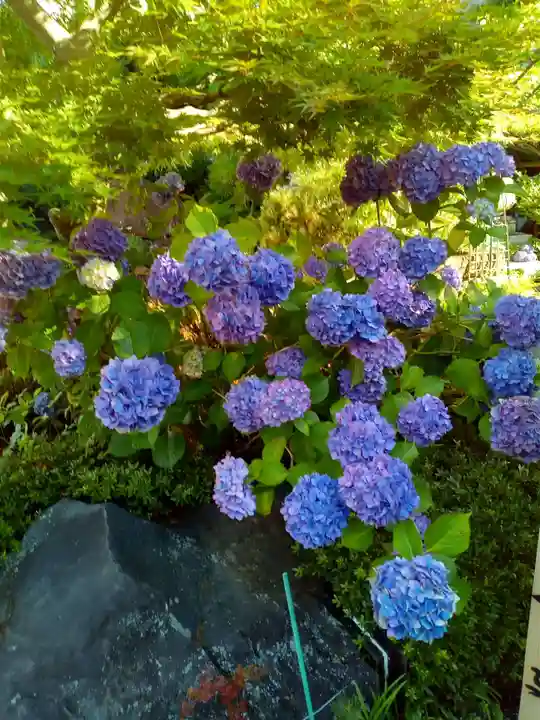 妙心院(宮城県)