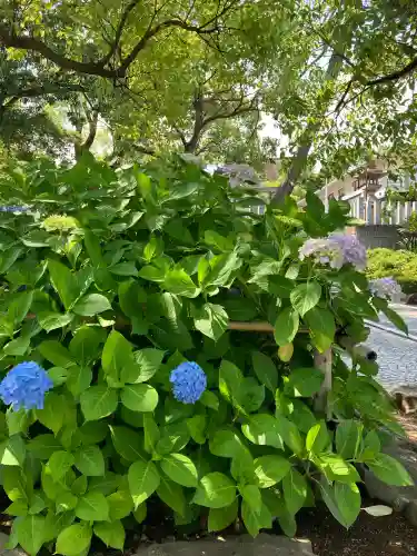 片山神社(大阪府)
