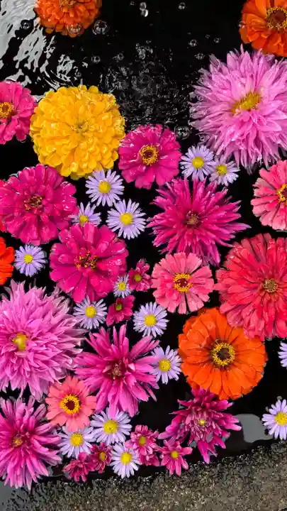 大鏑神社(福島県)