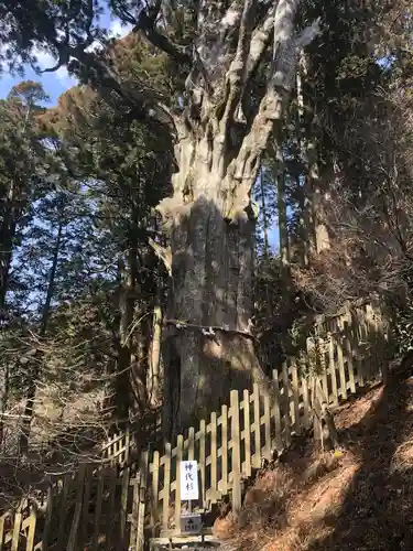 玉置神社の自然