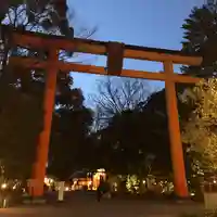 川越氷川神社(埼玉県)