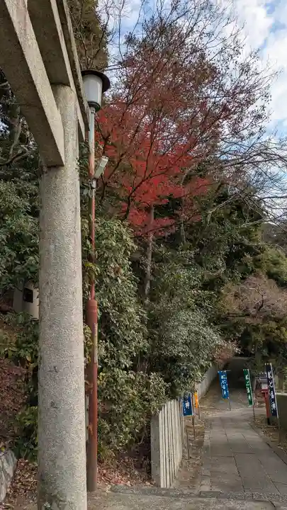 松ヶ崎大黒天 妙圓寺(妙円寺)(京都府)