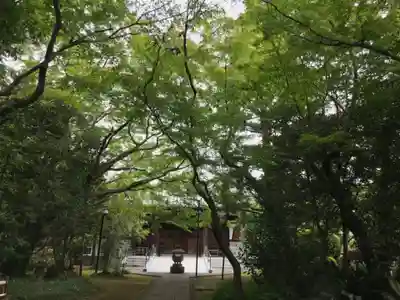 大正寺のその他建物