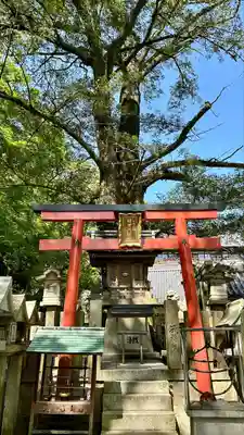朝護孫子寺(奈良県)